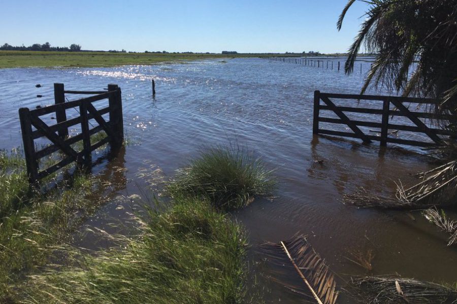 Campo anegado en Gessler