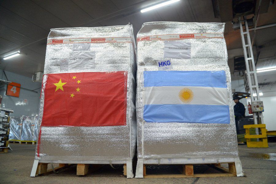 Arándanos a China