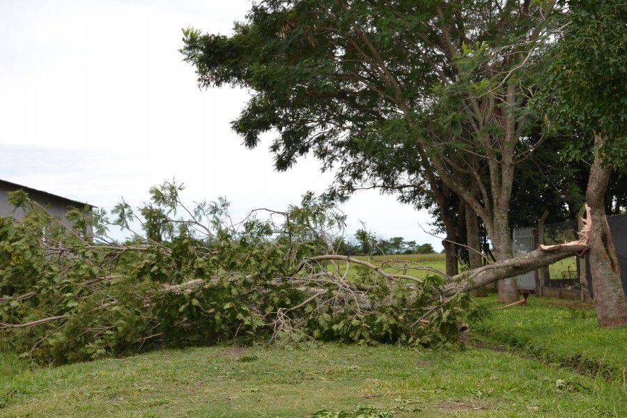 Fuerte temporal en Franck