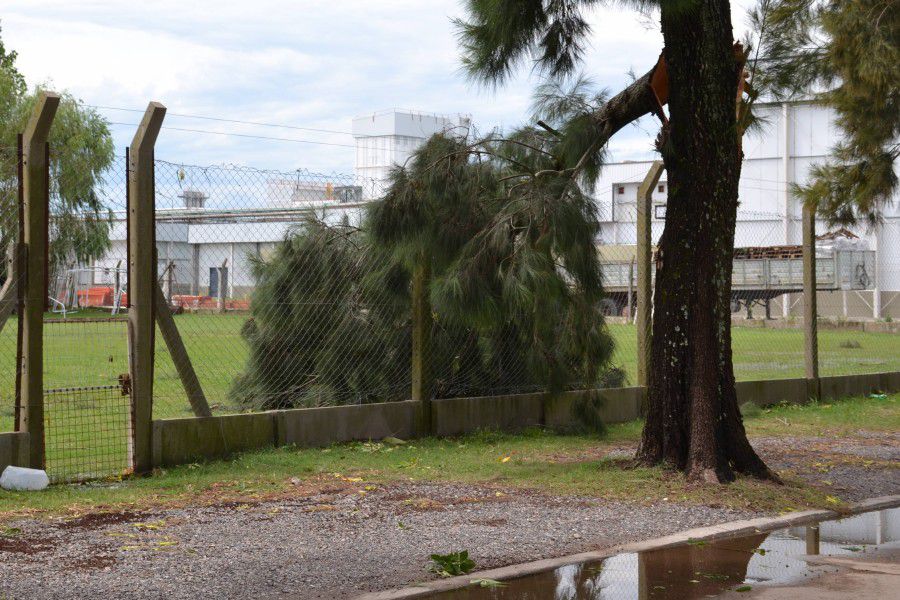 Fuerte temporal en Franck