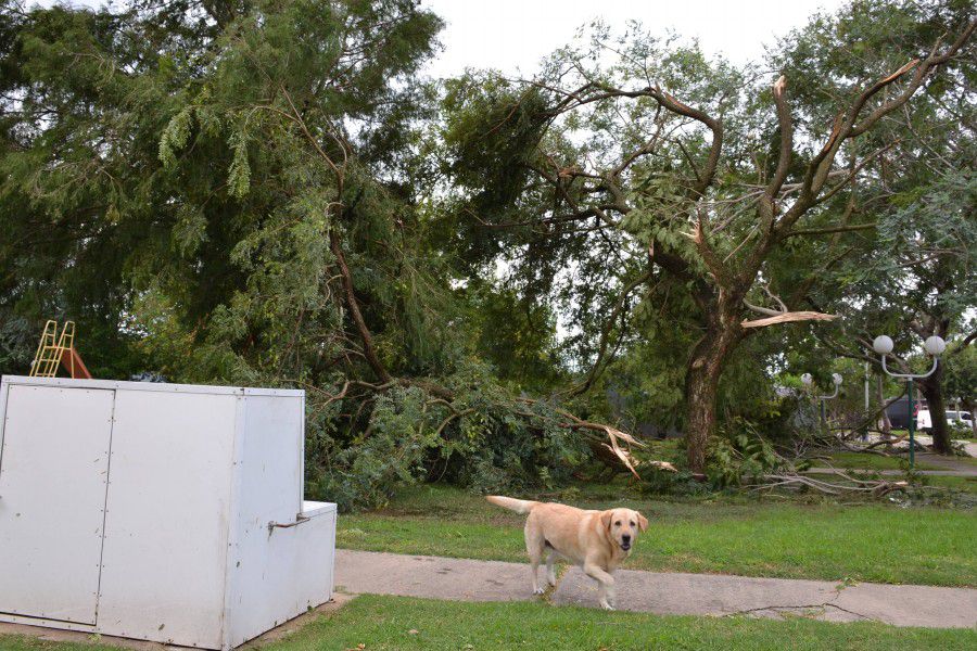 Fuerte temporal en Franck