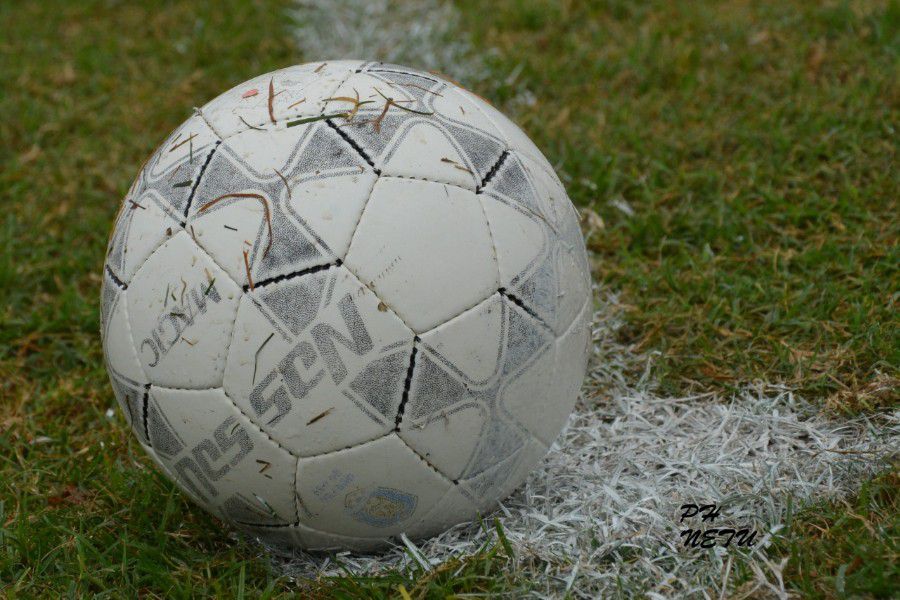 LEF Inferiores CAL vs CAF