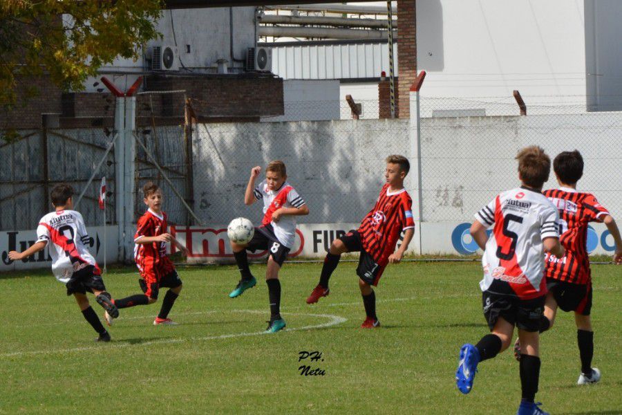 LEF Inferiores CAL vs CAF