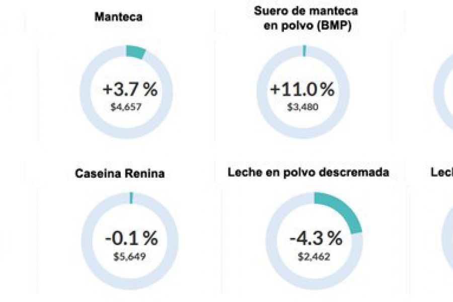 Precio de la leche en polvo