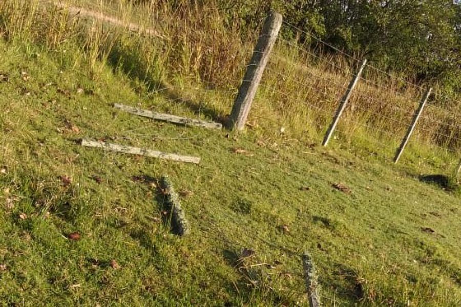 Abigeato en Las Colonias