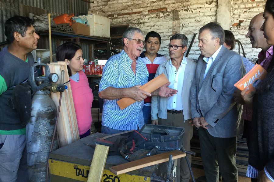Mottura lanzó su candidatura