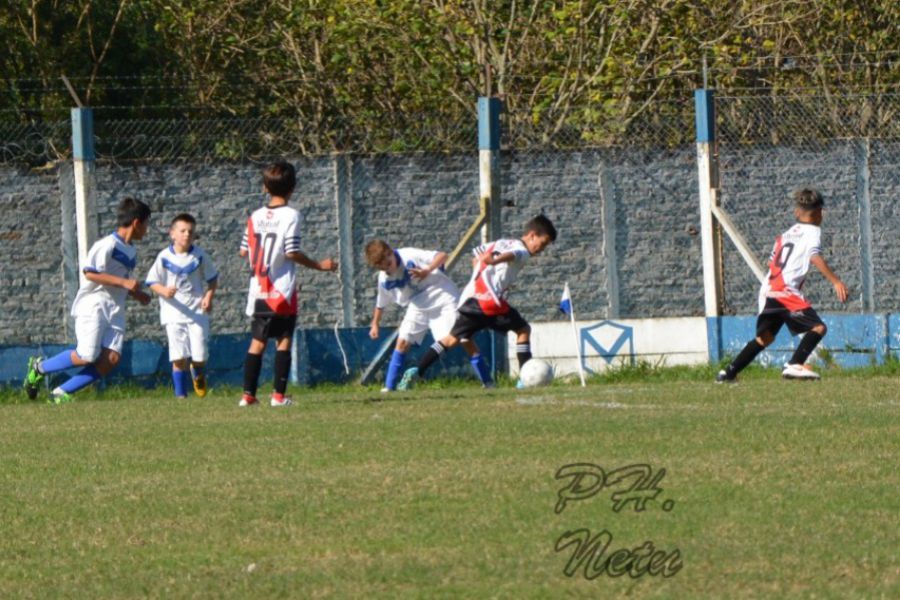 LEF Inferiores SCFBC vs CAF