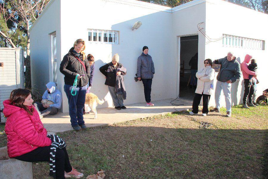 Castraciones en el Poli Comunal