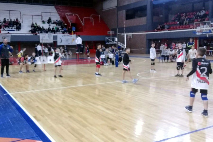 Voley Sub12 del CAF