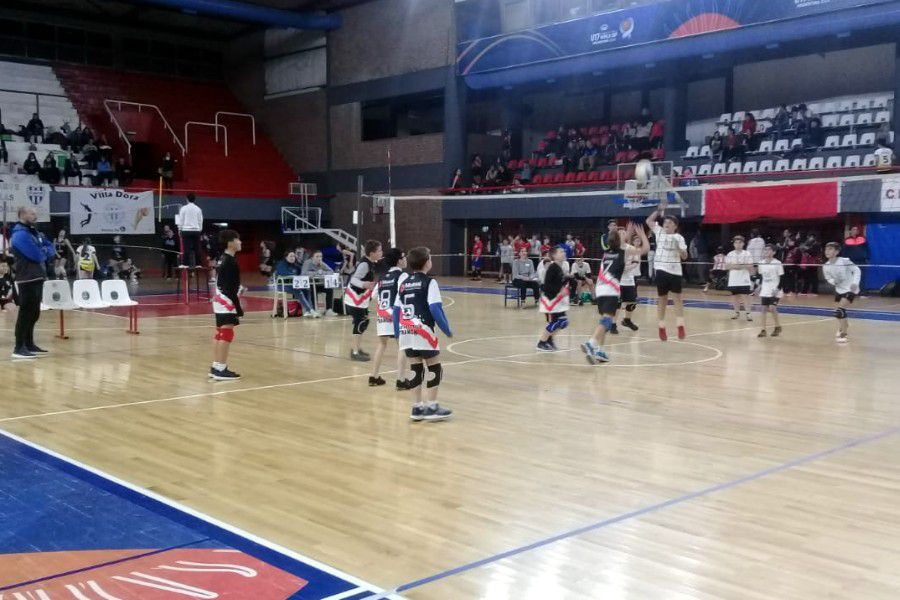 Voley Sub12 del CAF