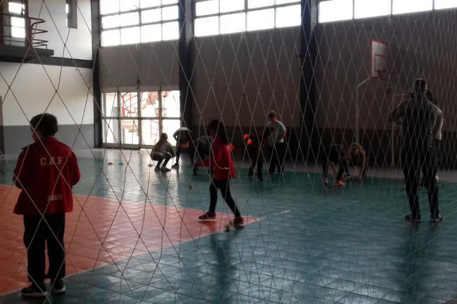 Voley con Torta fritas y Amigos