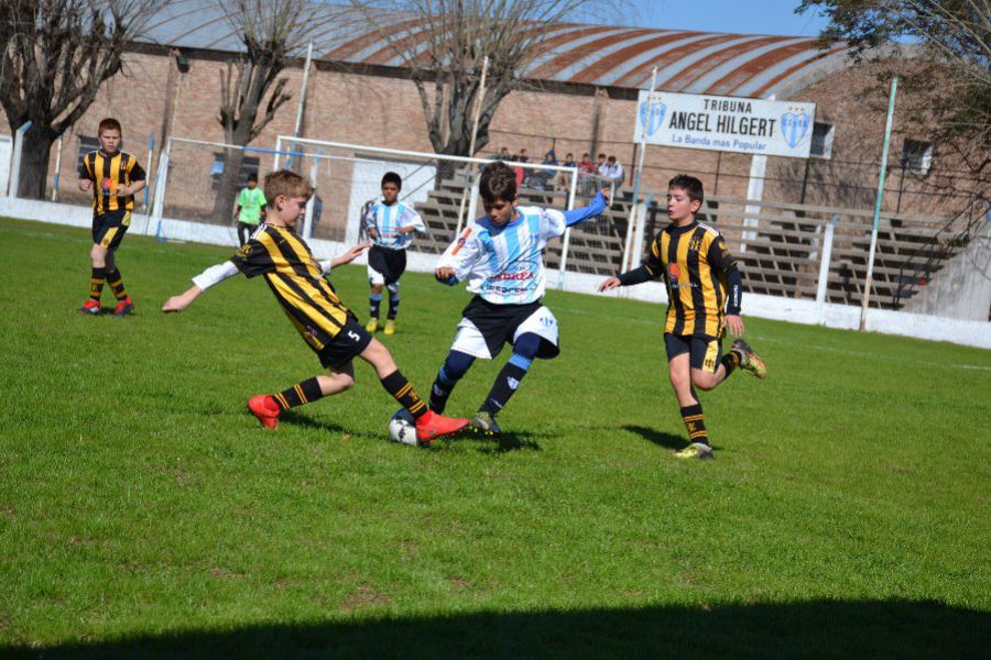 LEF Inferiores CSyDA vs CAP