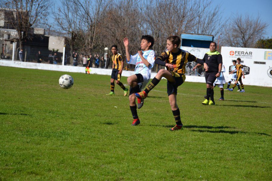 LEF Inferiores CSyDA vs CAP
