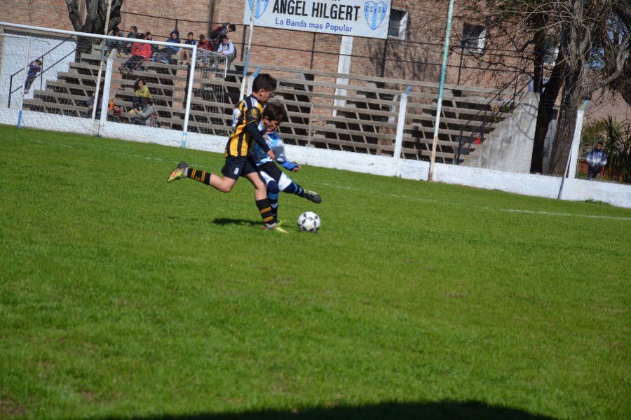 LEF Inferiores CSyDA vs CAP