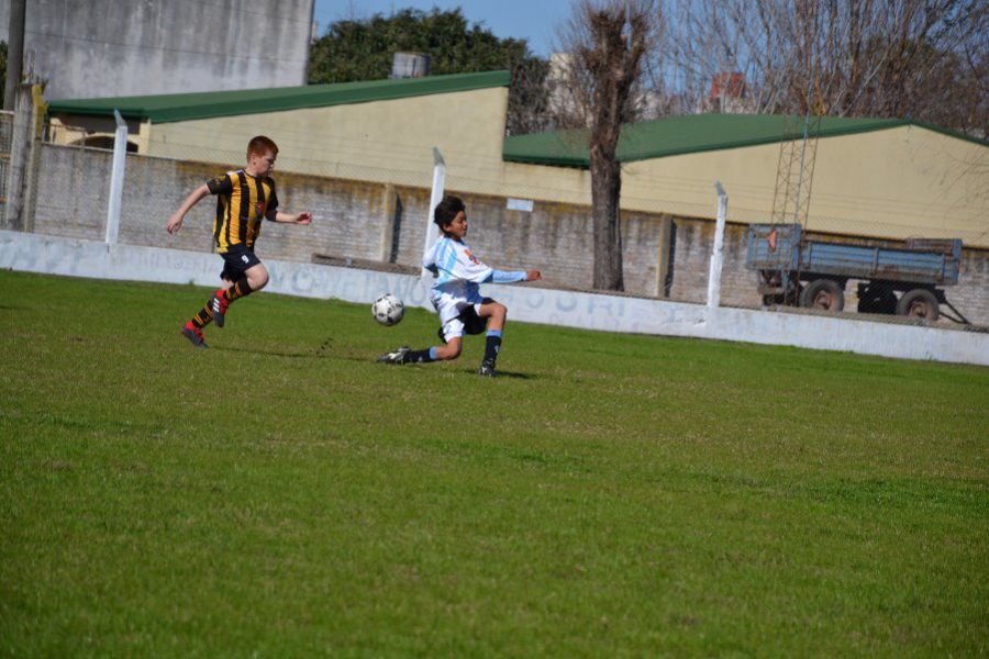 LEF Inferiores CSyDA vs CAP