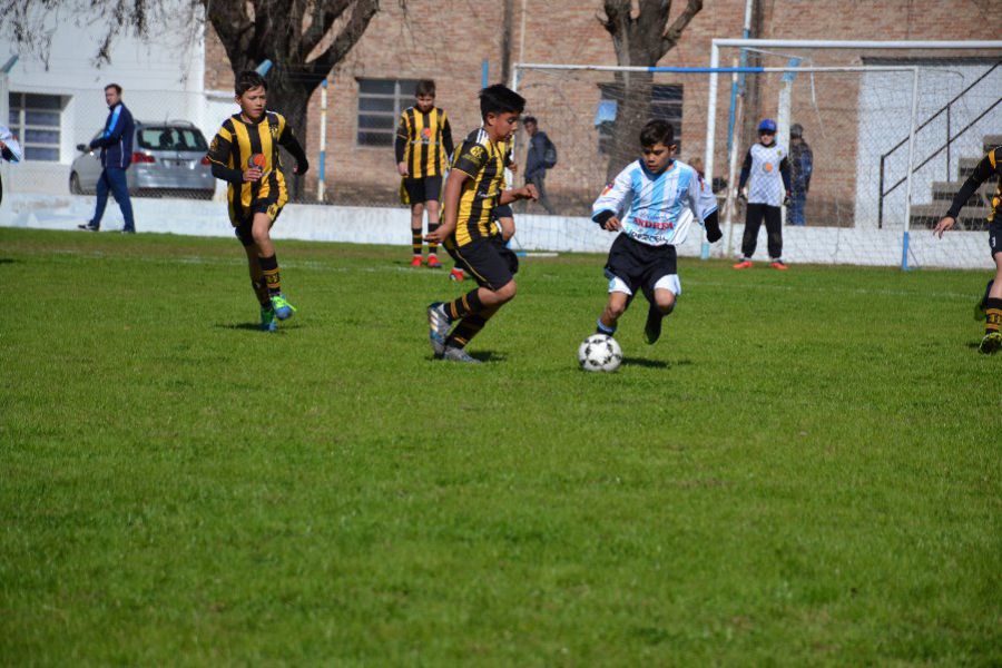 LEF Inferiores CSyDA vs CAP