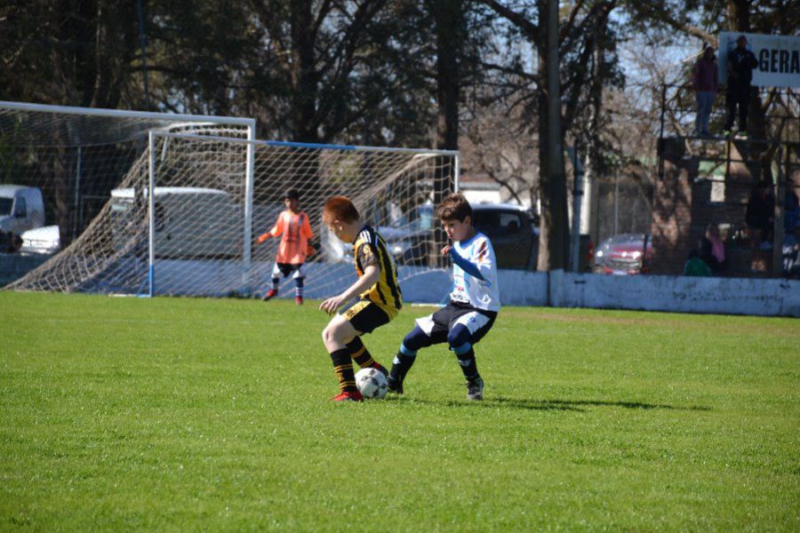 LEF Inferiores CSyDA vs CAP