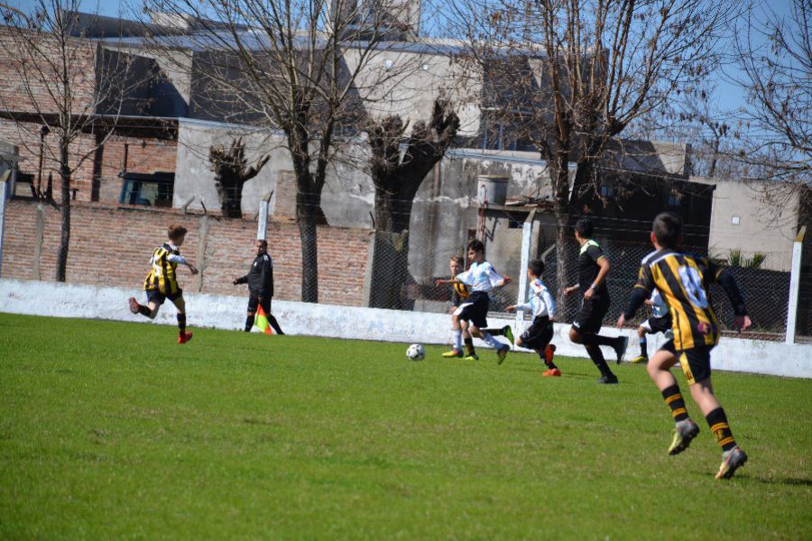 LEF Inferiores CSyDA vs CAP