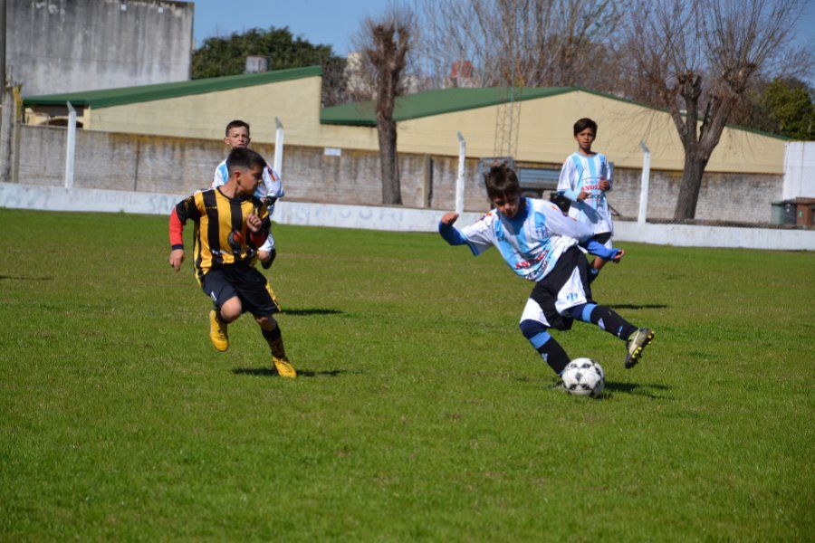 LEF Inferiores CSyDA vs CAP