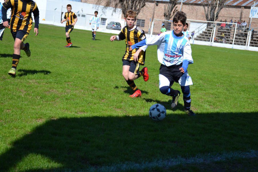 LEF Inferiores CSyDA vs CAP