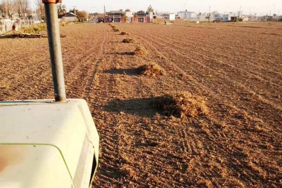 Obras en el CSyDA