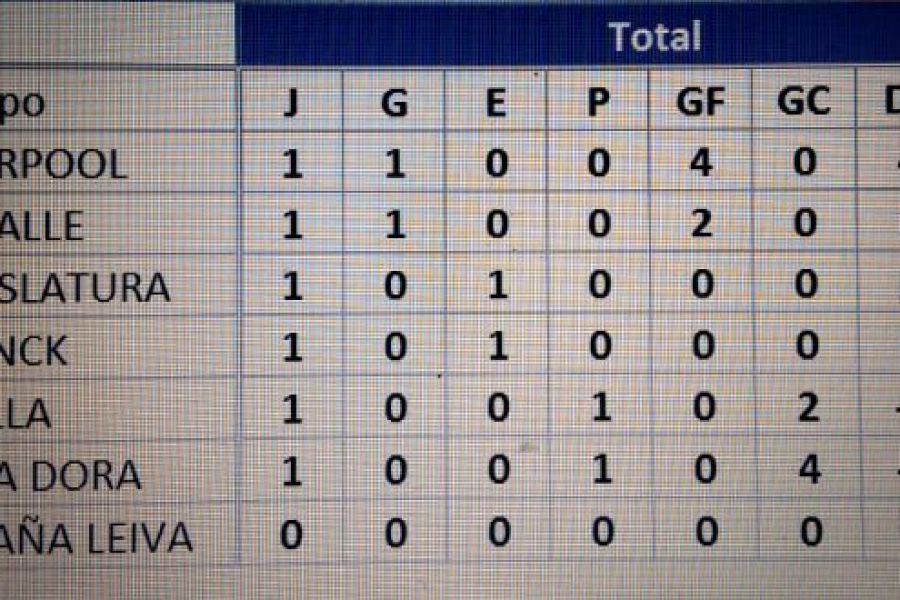 Posiciones Mami Hockey