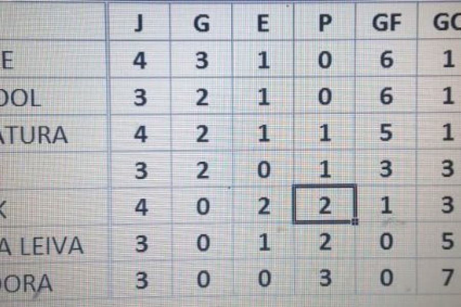 Posiciones Mami Hockey