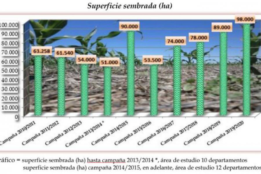 Trigo - Cuadro de Superficie sembrada