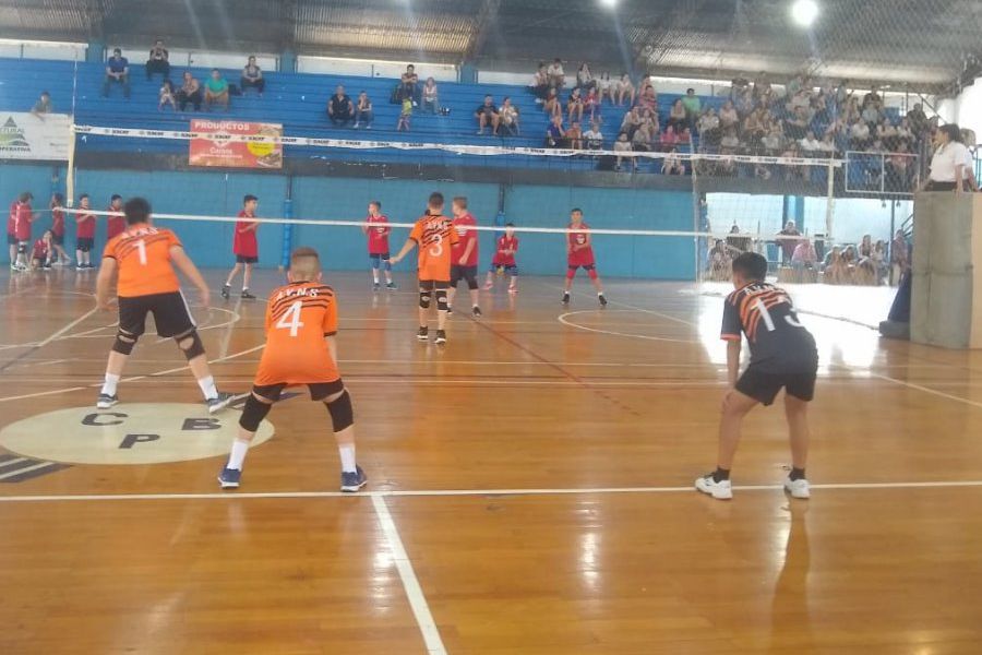 Sub 12 ASV Sub Campeón