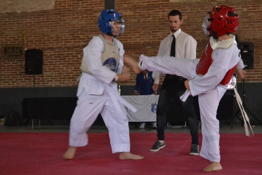 Taekwondo en el CSyDA