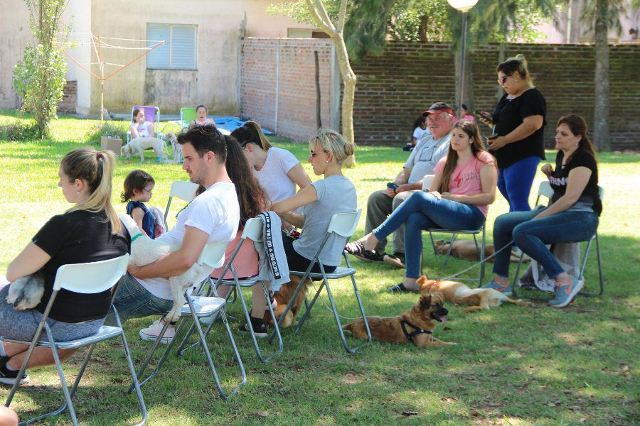 Castraciones en Plaza del Barrio Federal