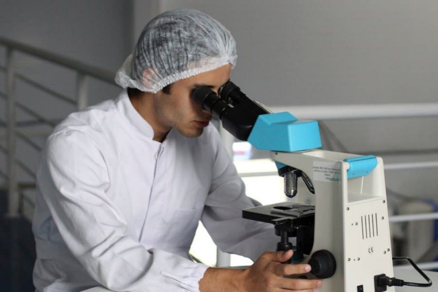 Agencia ambiental de EE.UU. reafirmó que el glifosato no causa cáncer