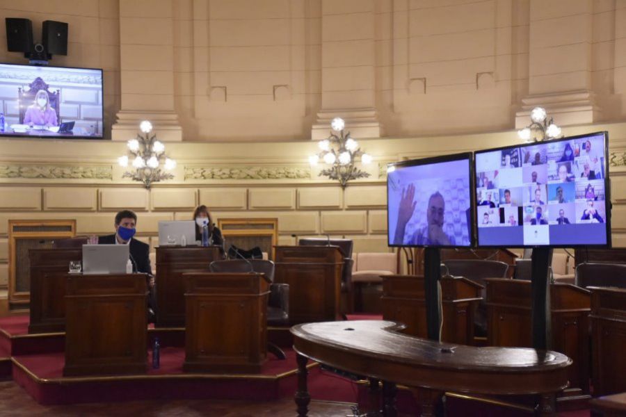 Telesesion de Pirola en la Cámara Alta