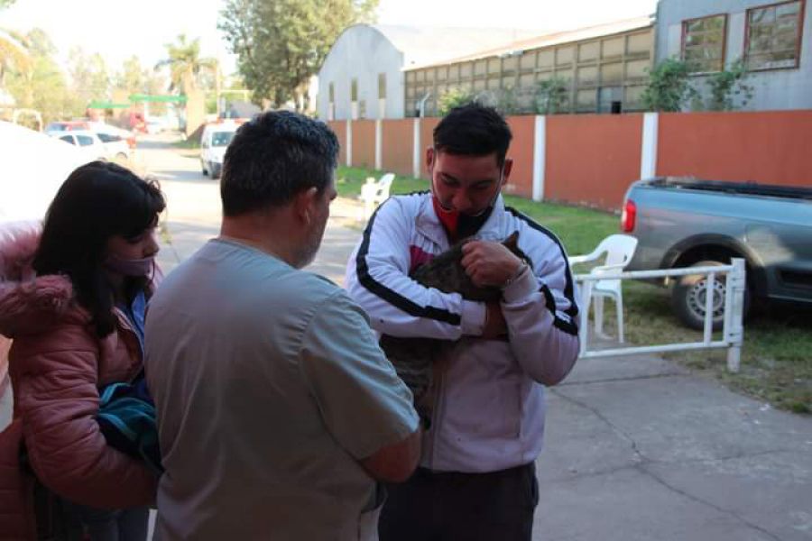 Campaña de castración en AUT