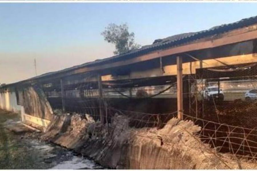 Incendio en Granja de Pollos - Foto URXI