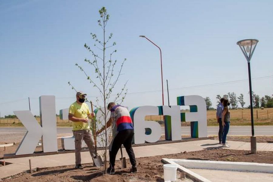 Forestación del acceso oeste