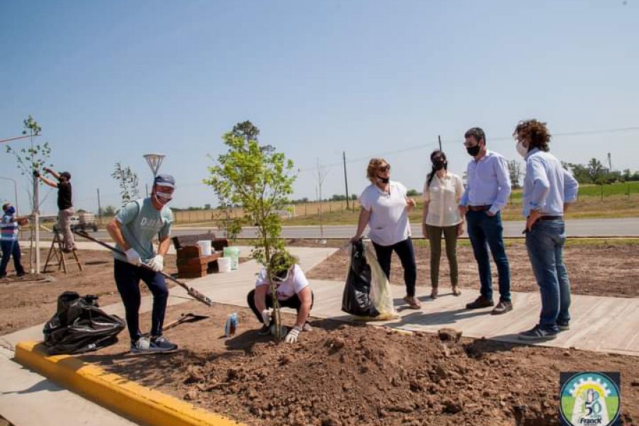 Forestación del acceso oeste