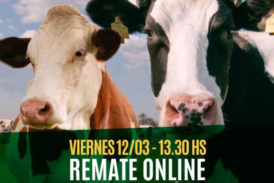 12 Remate online de La Lehmann