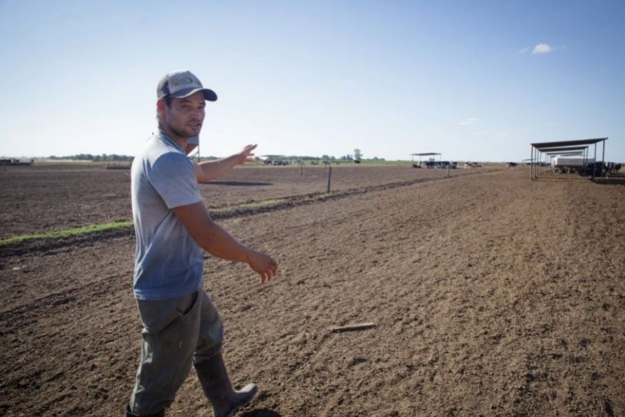 Néstor Montenegro - Foto Clarin Rural