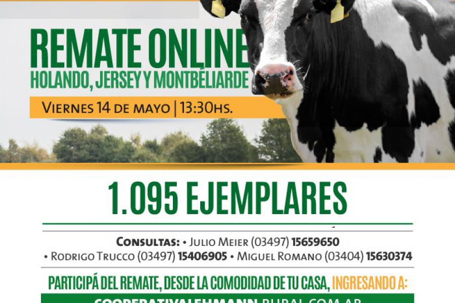 Remate online de La Lehmann con 1095 ejemplares