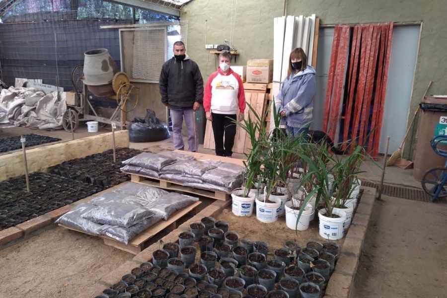 Vivero Comunal produce tierra para los viveros franckinos