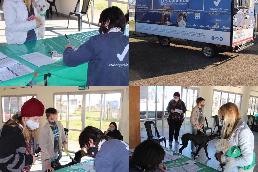 Jornada de Castraciones para perros y gatos