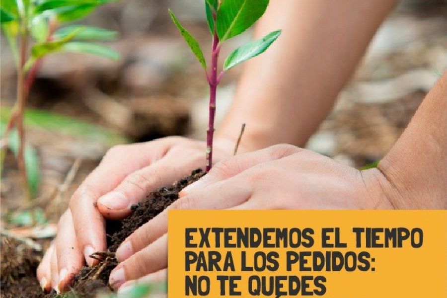 Proyecto Forestal 2021 - Extensión