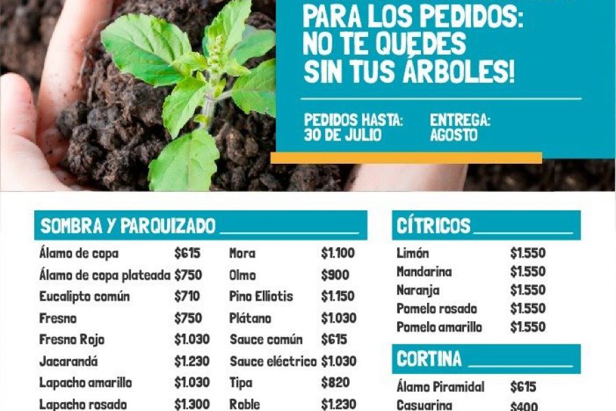 Proyecto Forestal 2021 - Extensión