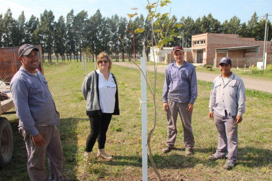 Programa Forestación