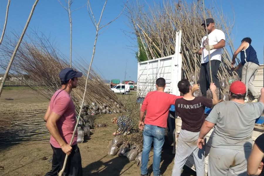 6.551 nuevos árboles al Proyecto Forestal