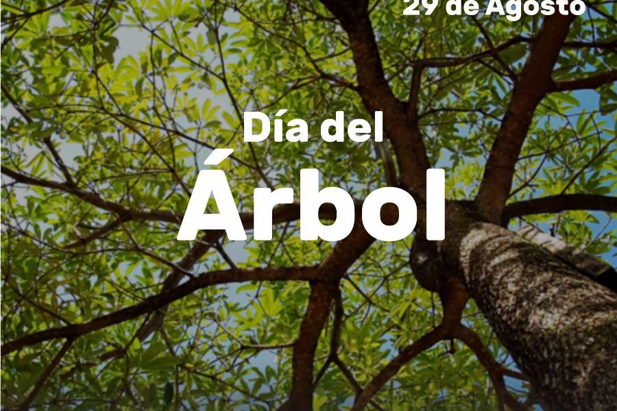 Día del Arbol - Afiche FIMA