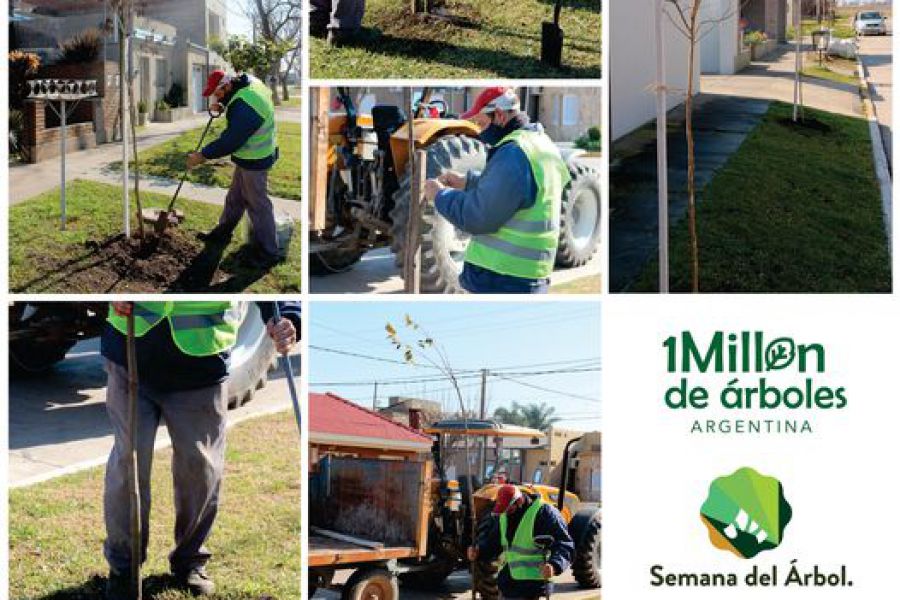 Tareas de forestación en la vía y espacios públicos