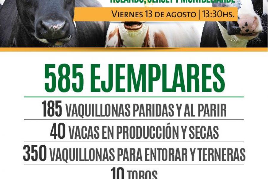 Remate de La Lehamnn - 585 Ejemplares