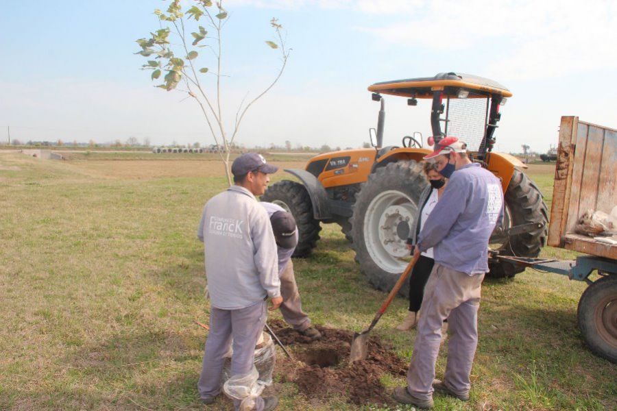 Programa Forestación